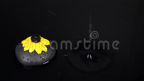 用黑色的石头和黄色的花朵掉进水里溅起浪花视频的预览图