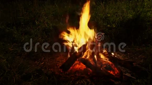 夜间篝火火焰视频的预览图