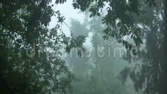 在暴雨中从窗户看到公园视频的预览图