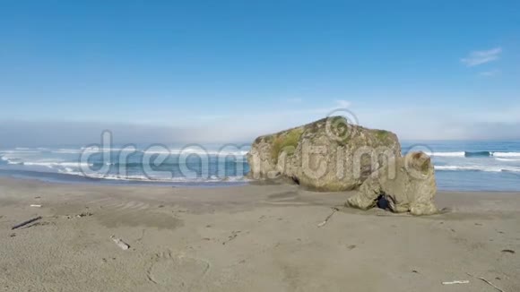 无人机飞过沙滩浮木面向大海视频的预览图