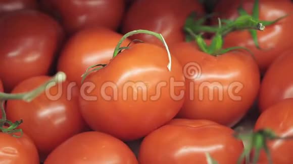 市场柜台上的红熟西红柿视频的预览图