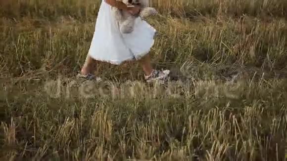 一个女孩穿着小猫鞋子穿着白色连衣裙走在田野上被一只玩具熊玩视频的预览图