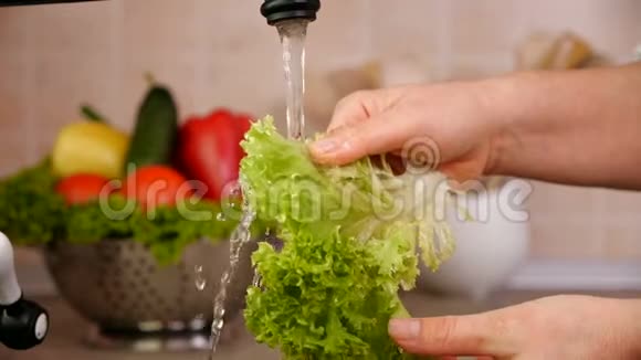 女人洗手在厨房水槽里滴着生菜叶视频的预览图
