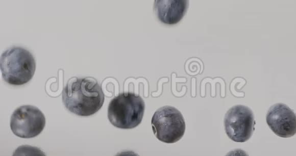 一个成熟的大蓝莓的特写慢慢落下填满屏幕慢动作浆果背景全高清视频视频的预览图