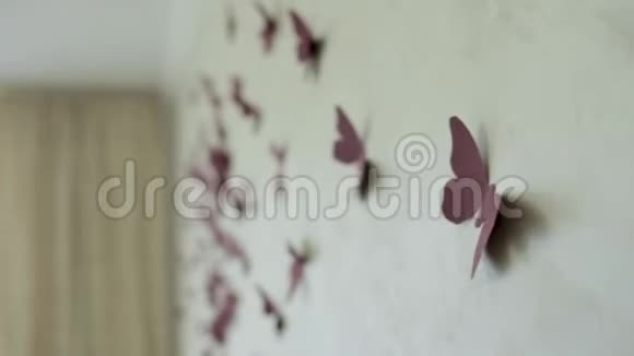 神奇的蝴蝶布置在墙上装饰着五颜六色的蝴蝶视频的预览图