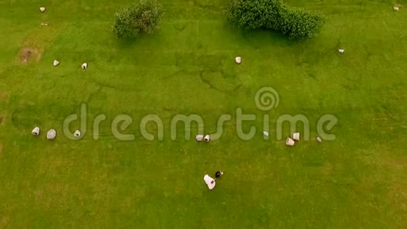 快乐的新娘和新郎在绿草的背景下从上面可以看到空中景观视频的预览图