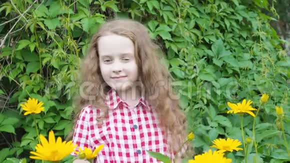 小女孩在夏天的公园里嗅着一朵黄色的雏菊视频的预览图