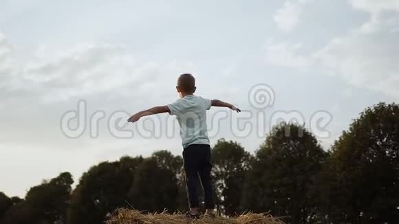 孩子和捆干草在地上儿童暑期活动一堆干草草地上的稻草干草中的男孩视频的预览图