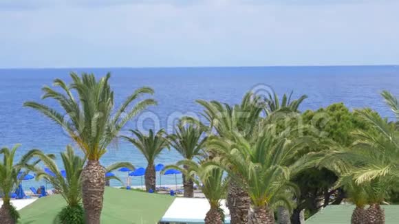 美丽的地中海海岸线有风的棕榈树和清澈的蓝色海水欧洲视频的预览图