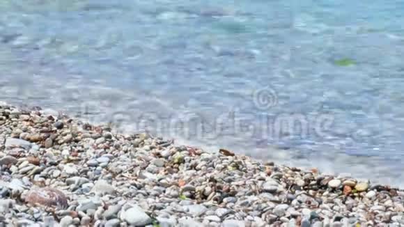 美丽的地中海海岸线有风的棕榈树和清澈的蓝色海水欧洲视频的预览图