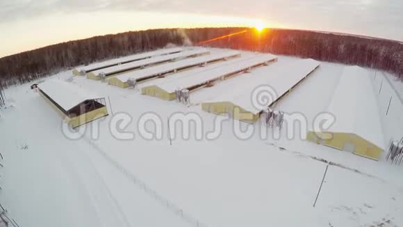 有饲料能力的家禽养殖场晚上的Wiinter空中观景视频的预览图