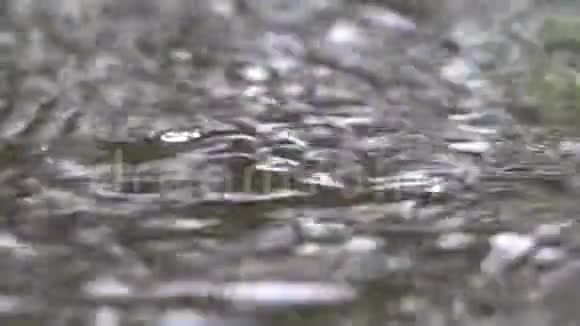 下雨天雨落在地表波浪是由雨引起的影响范围很广影响重叠视频的预览图