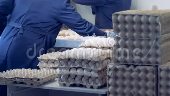 一群农家员工正从托盘里装满鸡蛋的纸箱视频的预览图