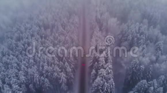 冬季乘飞机穿越雪松林视频的预览图
