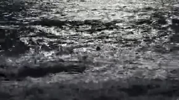 暴风雨中在水中游泳的人剪影视频的预览图