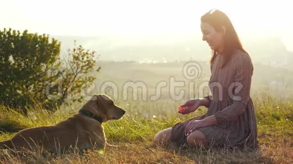 可爱的年轻女人在令人惊叹的日落中与狗在大自然中玩耍视频的预览图