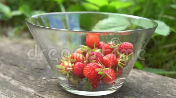 带有新鲜有机草莓的玻璃碗有绿色背景的英国老花园视频的预览图