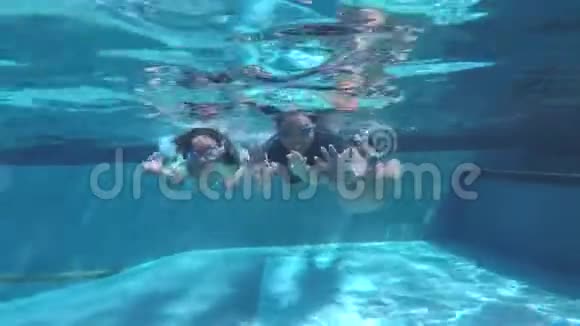 爸爸和孩子们一起在游泳池里潜水视频的预览图