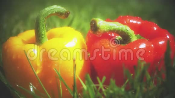 慢镜头水溅在红黄甜椒上视频的预览图