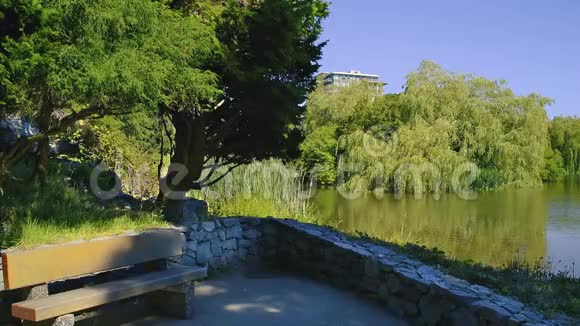 夏天公园附近有漂浮的鸭子绿树成荫的池塘视频的预览图