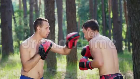 在拳击手套中年轻的运动员带着裸露的裸露的托索盒子练习打击捕捉战斗的技巧视频的预览图