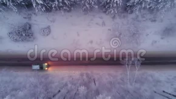 冬天开车穿过雪松林视频的预览图