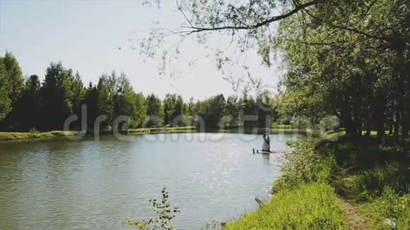 阳光明媚的一天湖岸上生长着树木视频的预览图
