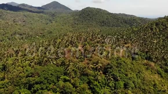 岛上的热带森林神奇的热带岛屿山脊上绿色丛林的雄蜂奇观异国情调的视频的预览图