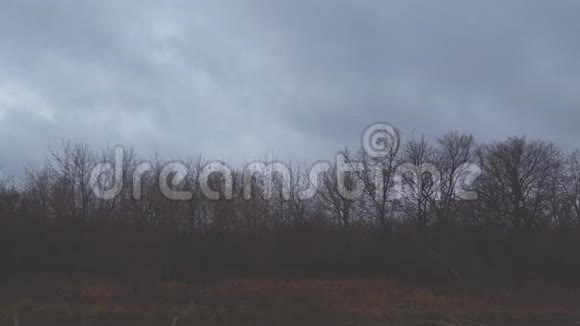 深秋的风暴云飞过秋林的光秃秃的树视频的预览图