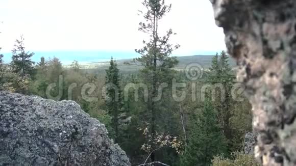 森林背景中岩石之间的斜坡录像岩石之间的树林景观野生性质的概念视频的预览图