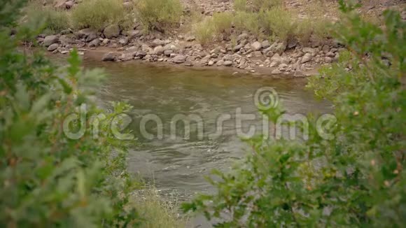 溪流中的流水岩视频的预览图