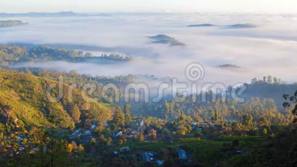 清晨雾在斯里兰卡村庄空中景观视频的预览图