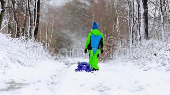 冬雪小子好玩视频的预览图