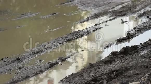 大沼泽和泥浆视频的预览图
