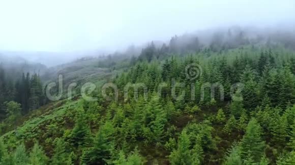 飞越苏格兰高地薄雾中的森林视频的预览图