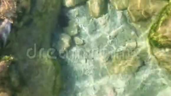 在透明的河水下特写黄色的大石头视频的预览图