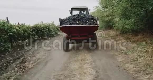 卡车配套运输葡萄束视频的预览图