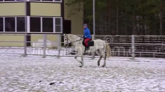 一个穿着运动服和运动帽的年轻女子正骑着一匹白马在一个围栏地区视频的预览图