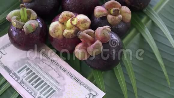 一组新鲜异国情调的泰国热带水果芒果用美国货币美元旋转视频的预览图