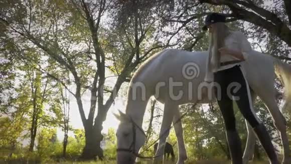 一个阳光明媚的下午一位戴着眼镜的女骑手和一匹白马在公园里视频的预览图