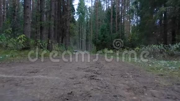 在森林里拍摄十字路口视频的预览图