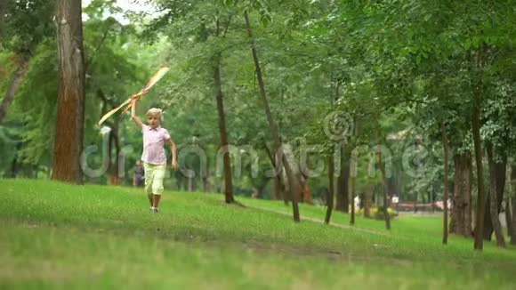 公园放风筝户外休闲活动无忧无虑的童年视频的预览图