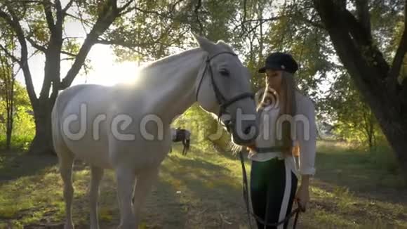 一个阳光明媚的下午长发女子带着马在森林里散步视频的预览图