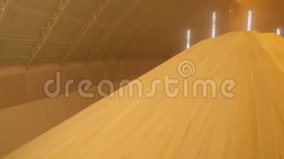 糖橙厂厂房视频的预览图