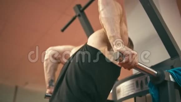 健美运动员在健身房做直立蘸视频的预览图