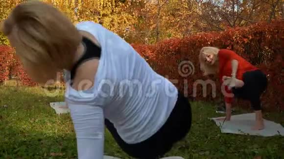秋季公园健身运动时穿运动服的灵活女士视频的预览图