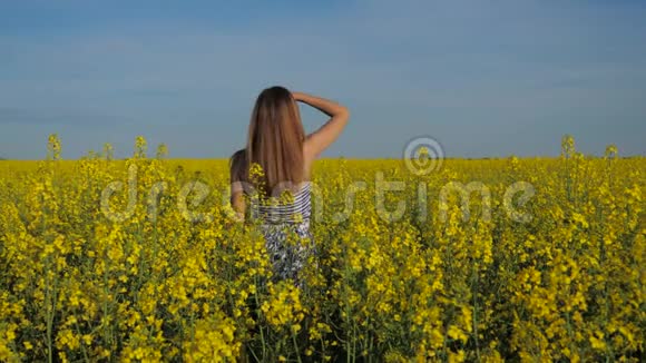黄色田野里美丽的黑发女孩的肖像看着两边视频的预览图