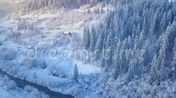 日落时分飞越雪山针叶林晴朗的晴朗的霜冻天气山里的小屋冬天视频的预览图