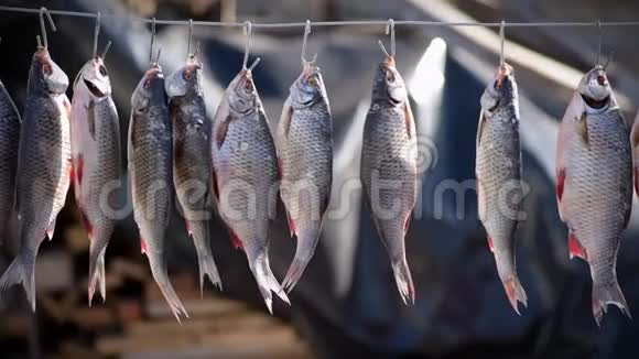 河鱼在盐中腌制挂在钩子上用于自然干燥视频的预览图