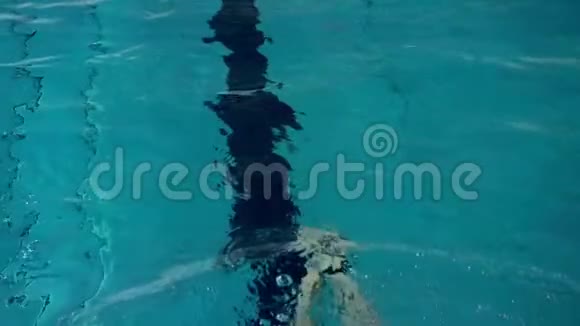 慢动作女运动员在水下背游视频的预览图